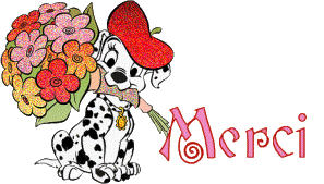 Image hébergée par Casimages.com : votre hébergeur d images simple et gratuit