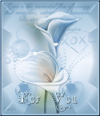 Image hébergée par Casimages.com : votre hébergeur d images simple et gratuit