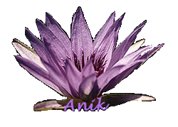 Image hébergée par Casimages.com : votre hébergeur d images simple et gratuit