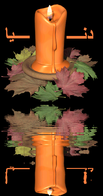 Image h�berg�e par Casimages.com : votre h�bergeur d images simple et gratuit