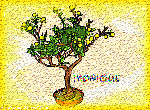 Image h�berg�e par Casimages.com : votre h�bergeur d images simple et gratuit