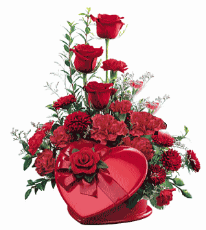 Image h&eacute;berg&eacute;e par Casimages.com : votre h&eacute;bergeur d images simple et gratuit