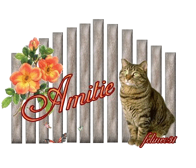 Image h�berg�e par Casimages.com : votre h�bergeur d images simple et gratuit