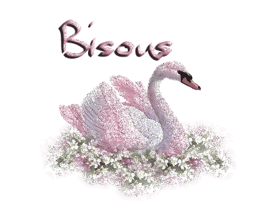 Image h�berg�e par Casimages.com : votre h�bergeur d images simple et gratuit