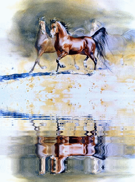Image hébergée par Casimages.com : votre hébergeur d images simple et gratuit
