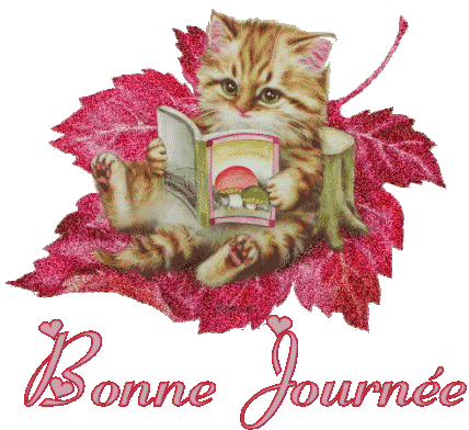 Image h�berg�e par Casimages.com : votre h�bergeur d images simple et gratuit