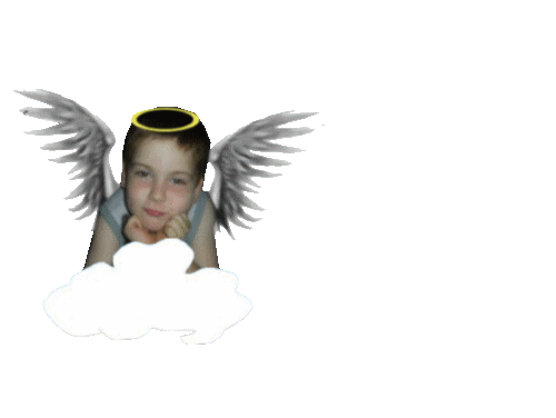 Image h�berg�e par Casimages.com : votre h�bergeur d images simple et gratuit