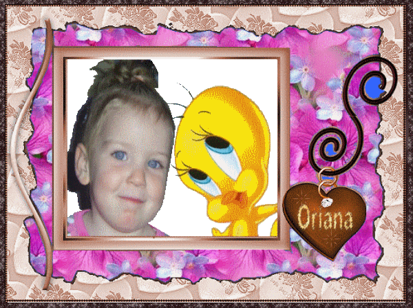 Image h�berg�e par Casimages.com : votre h�bergeur d images simple et gratuit