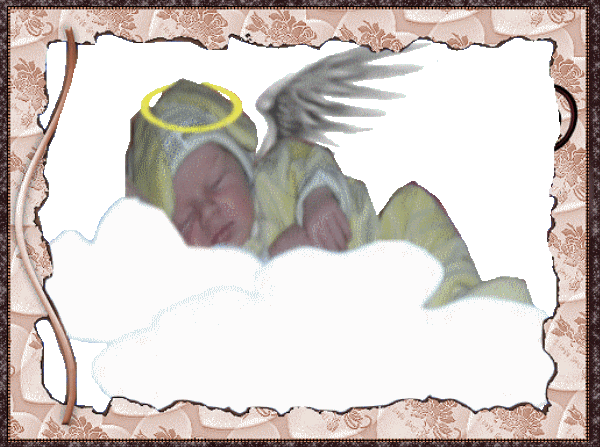 Image h�berg�e par Casimages.com : votre h�bergeur d images simple et gratuit