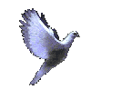 Image hébergée par Casimages.com : votre hébergeur d images simple et gratuit