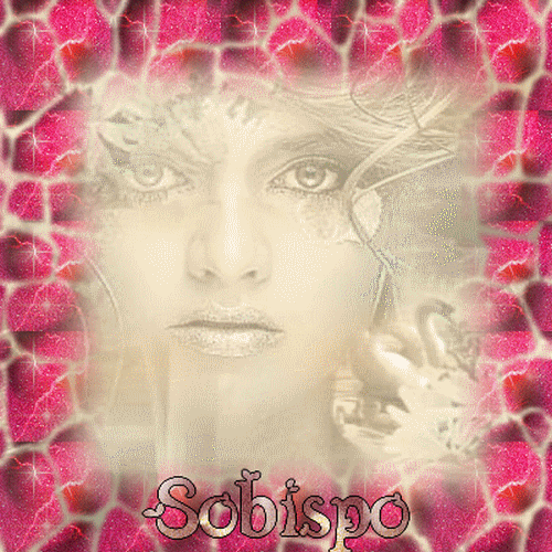 Image h�berg�e par Casimages.com : votre h�bergeur d images simple et gratuit