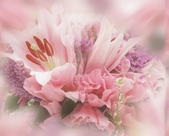 Image hébergée par Casimages.com : votre hébergeur d images simple et gratuit