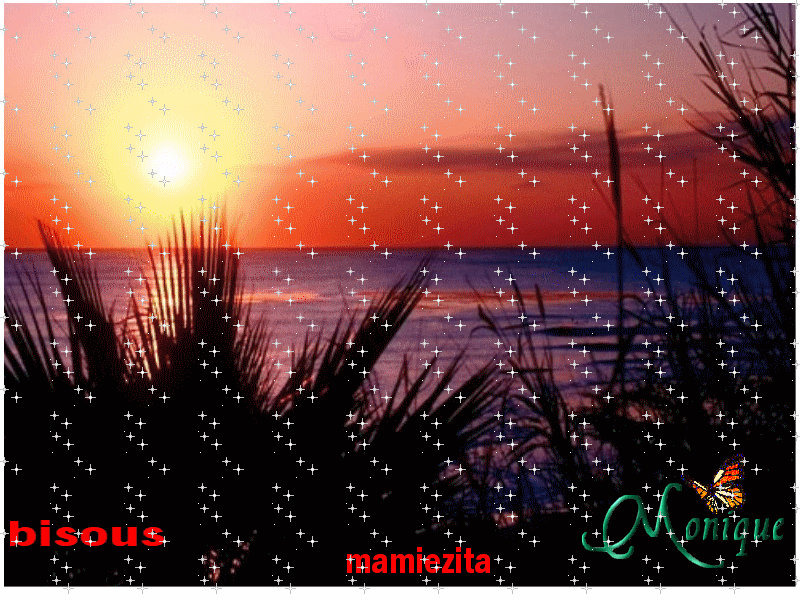 Image hébergée par Casimages.com : votre hébergeur d images simple et gratuit