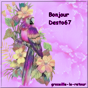 Image h�berg�e par Casimages.com : votre h�bergeur d images simple et gratuit