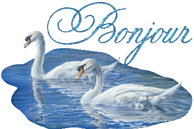 Image h�berg�e par Casimages.com : votre h�bergeur d images simple et gratuit
