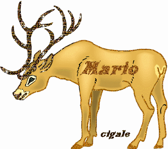 Image h�berg�e par Casimages.com : votre h�bergeur d images simple et gratuit