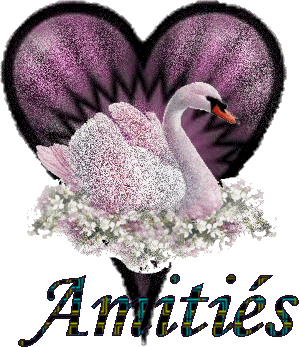 Image hébergée par Casimages.com : votre hébergeur d images simple et gratuit