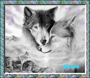 Image h�berg�e par Casimages.com : votre h�bergeur d images simple et gratuit