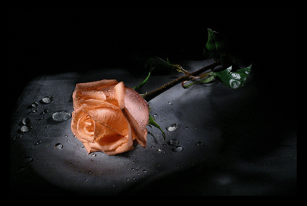 Image h�berg�e par Casimages.com : votre h�bergeur d images simple et gratuit