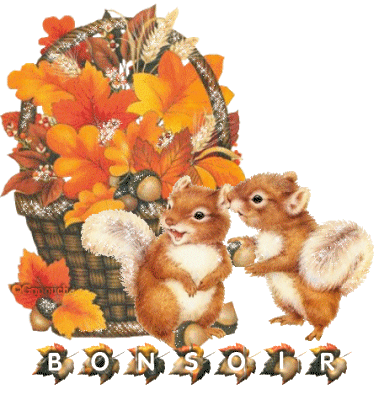 Image
h�berg�e par Casimages.com : votre h�bergeur d images simple et gratuit