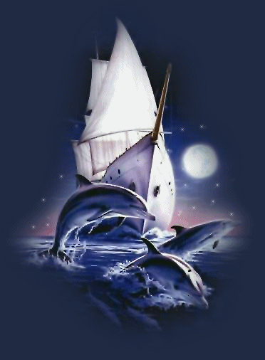 Image hébergée par Casimages.com : votre hébergeur d images simple et gratuit