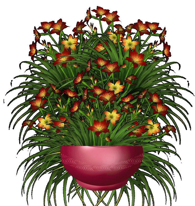 Image h�berg�e par Casimages.com : votre h�bergeur d images simple et gratuit
