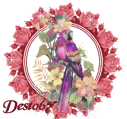 Image h�berg�e par Casimages.com : votre h�bergeur d images simple et gratuit