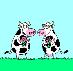Image hébergée par Casimages.com : votre hébergeur d images simple et gratuit
