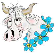 Image hébergée par Casimages.com : votre hébergeur d images simple et gratuit