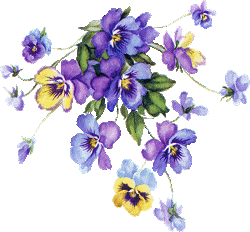 Image hébergée par Casimages.com : votre hébergeur d images simple et gratuit