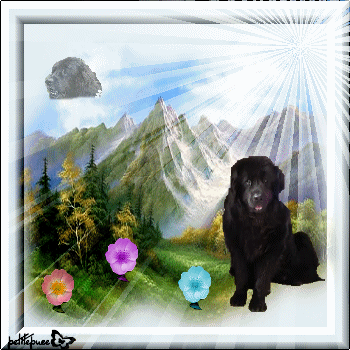 Image hébergée par Casimages.com : votre hébergeur d images simple et gratuit