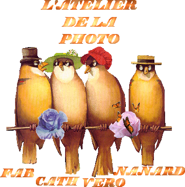 Image hébergée par Casimages.com : votre hébergeur d images simple et gratuit