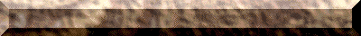 Image h�berg�e par Casimages.com : votre h�bergeur d images simple et gratuit