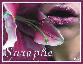 Image h�berg�e par Casimages.com : votre h�bergeur d images simple et gratuit