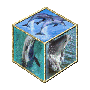 http://www.casimages.com/img/gif/0710110156411378238.gif