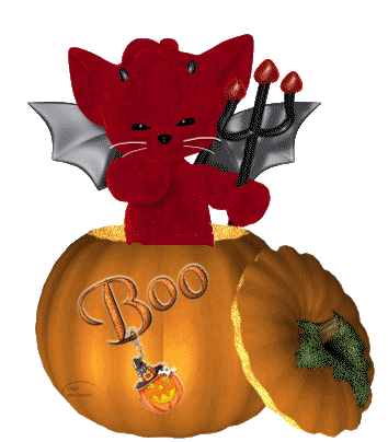 Image h�berg�e par Casimages.com : votre h�bergeur d images simple et gratuit