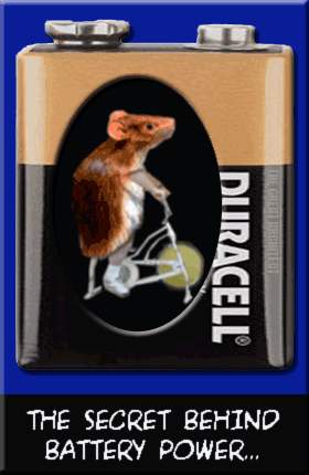 Image hébergée par Casimages.com : votre hébergeur d images simple et gratuit
