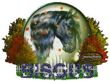 Image h�berg�e par Casimages.com : votre h�bergeur d images simple et gratuit