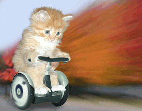 http://www.casimages.com/img/gif/071018105411131521336476.gif