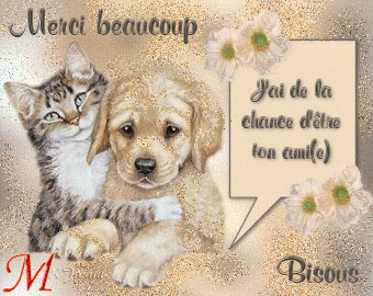 Image hébergée par Casimages.com : votre hébergeur d images simple et gratuit