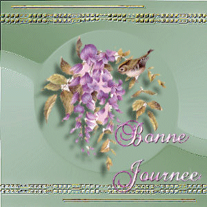 Image h&eacute;berg&eacute;e par Casimages.com : votre h&eacute;bergeur d images simple et gratuit