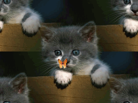 Image hberge par Casimages.com : votre hbergeur d images simple et gratuit