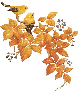 Image hébergée par Casimages.com : votre hébergeur d images simple et gratuit