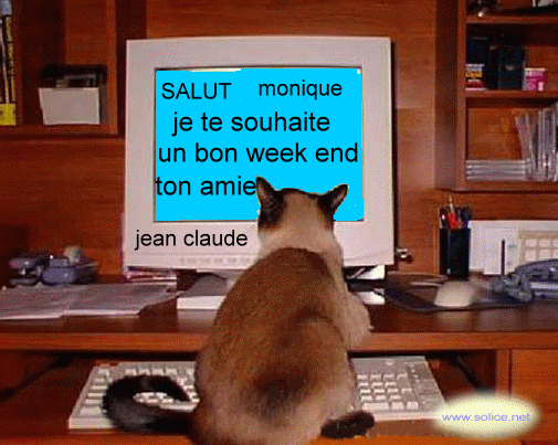 Image h�berg�e par Casimages.com : votre h�bergeur d images simple et gratuit