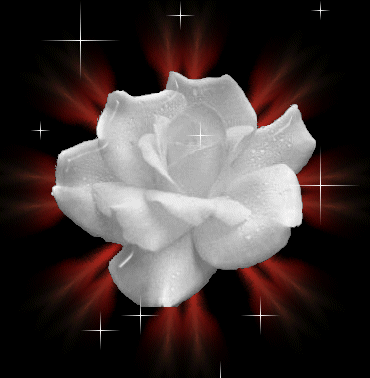 Image h�berg�e par Casimages.com : votre h�bergeur d images simple et gratuit