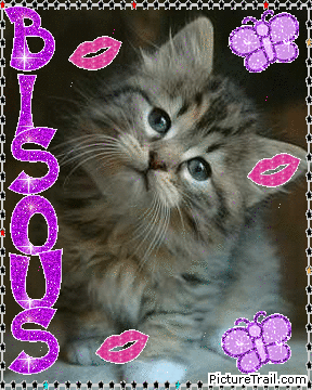 Image h�berg�e par Casimages.com : votre h�bergeur d images simple et gratuit