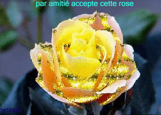 Image h�berg�e par Casimages.com : votre h�bergeur d images simple et gratuit