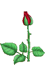 Image hébergée par Casimages.com : votre hébergeur d images simple et gratuit