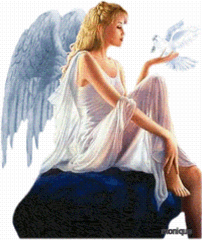 Image h&eacute;berg&eacute;e par Casimages.com : votre h&eacute;bergeur d images simple et gratuit