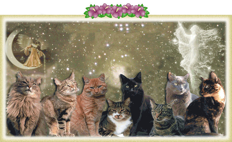 Image hébergée par Casimages.com : votre hébergeur d images simple et gratuit